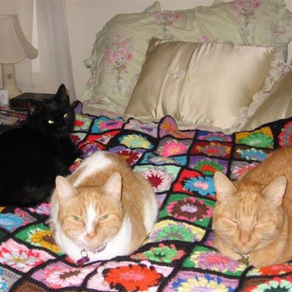 Meet your Posher, Felix